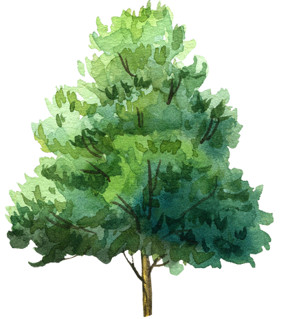 Watercolor green tree